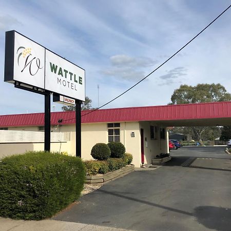 Wattle Motel Seymour Eksteriør bilde